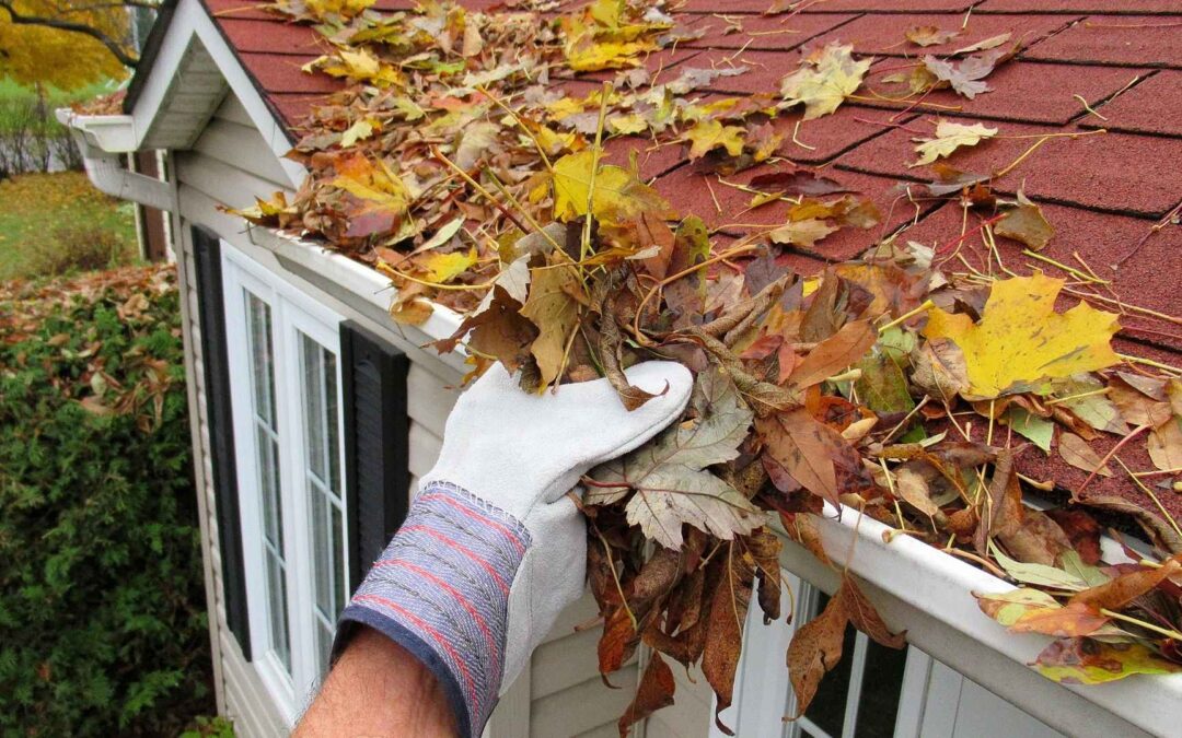 person in white gloves clearing leaves from a gutter