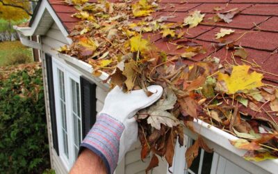 A Step-by-Step Guide to Cleaning Your Gutters